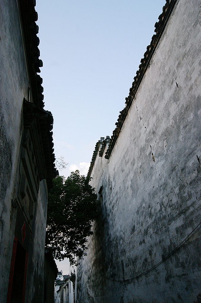 dsc01767.jpg