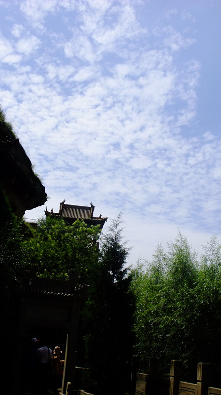 dscf6125_ת_.jpg
