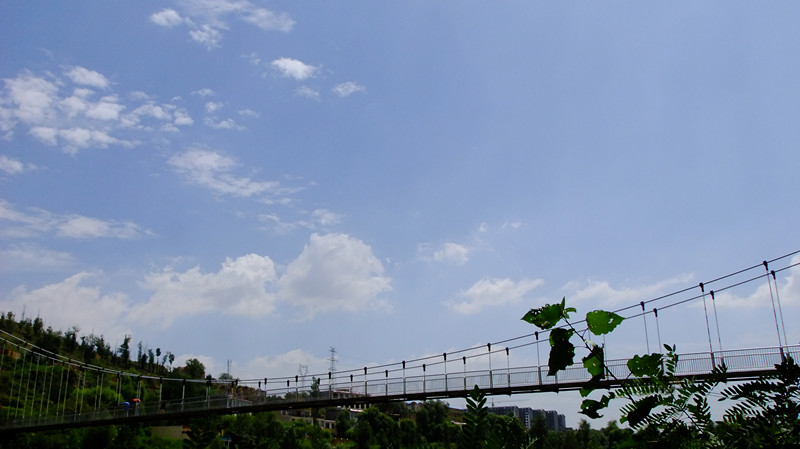 dscf6192_.jpg