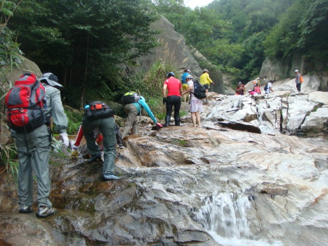 aa71.jpg