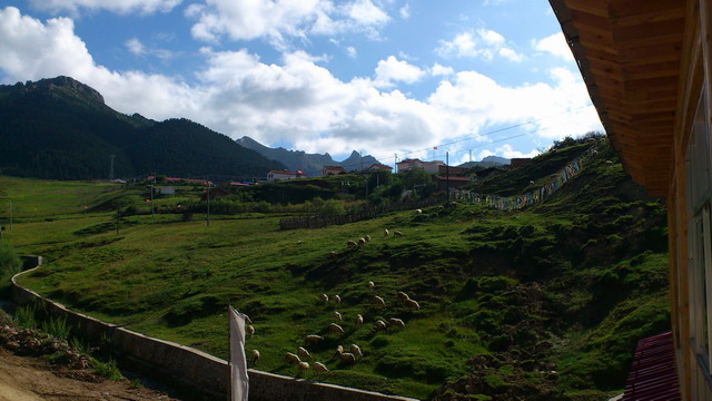 dsc_1275.jpg