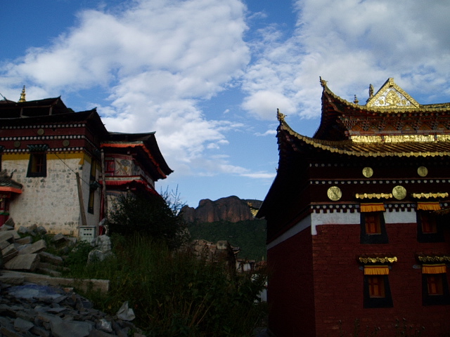 p1012061.jpg