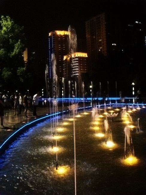 dsc03011.jpg