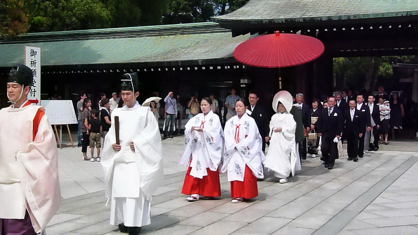 p1170529.jpg