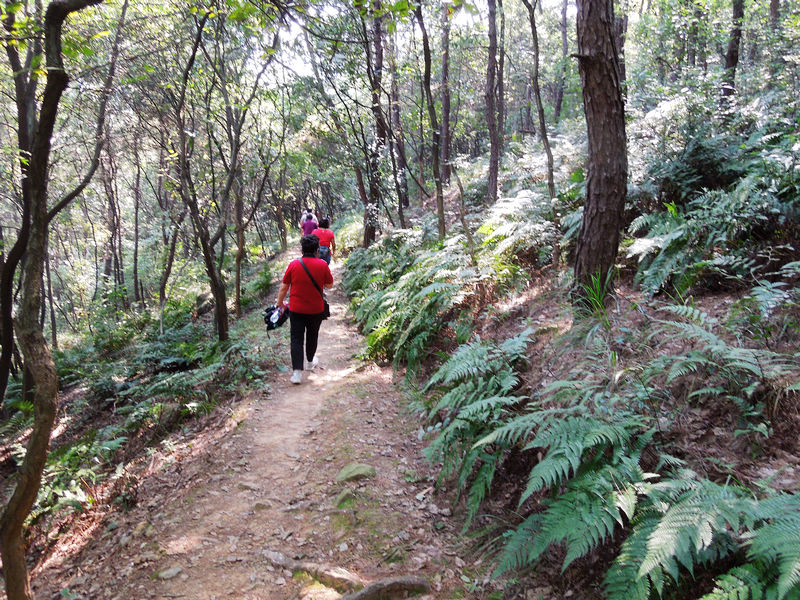 dscn1739.jpg