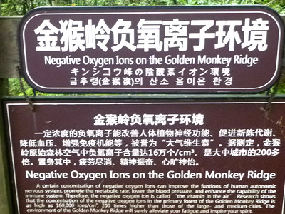 p1120148_.jpg