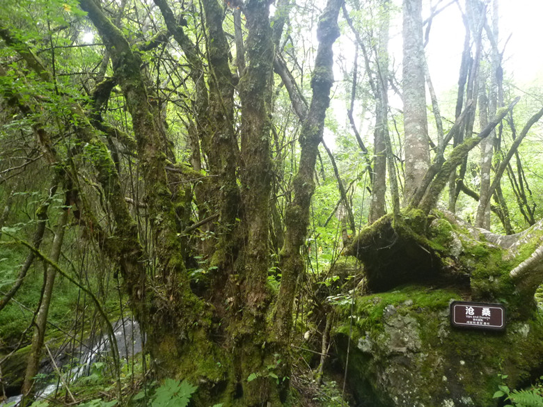 p1120145_.jpg