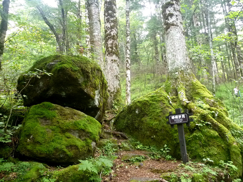 p1120150_.jpg