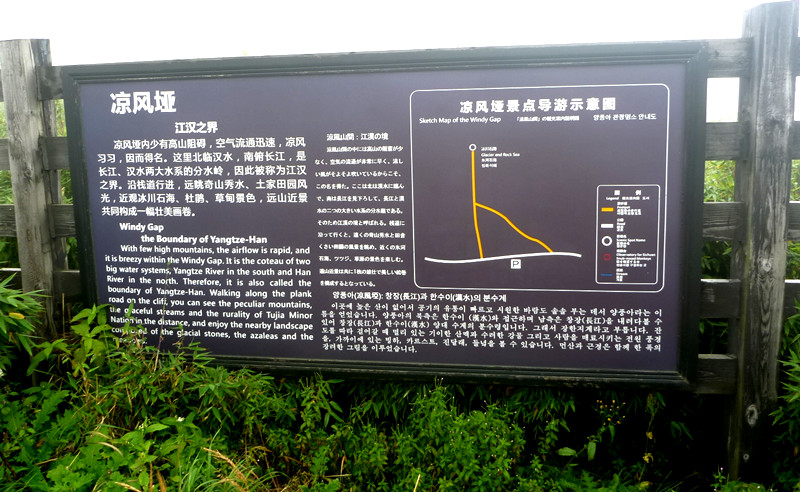 p1120183_.jpg