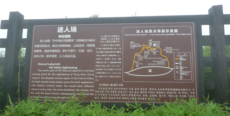p1120187_.jpg