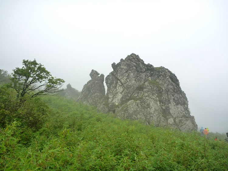 p1120188_.jpg