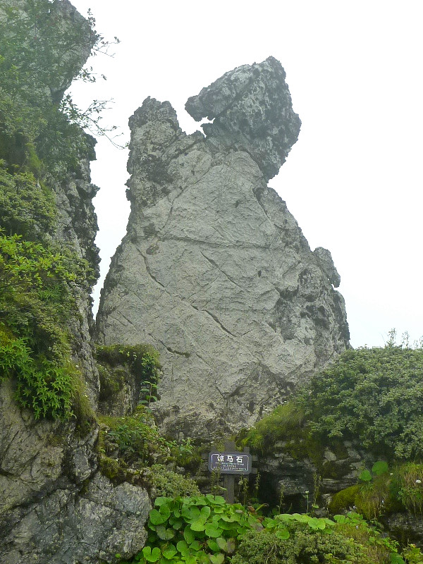 p1120192_.jpg
