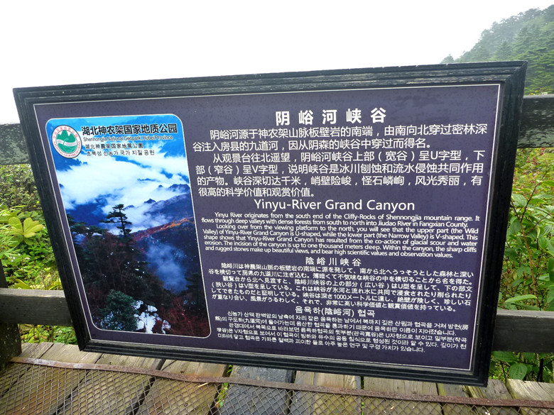 p1120191_.jpg