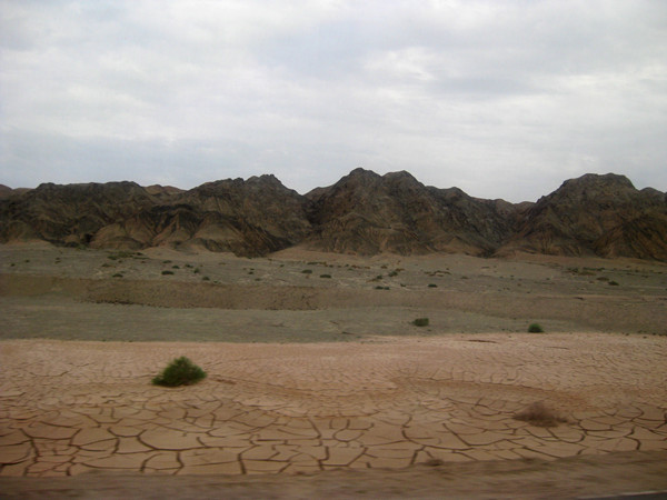 112.jpg