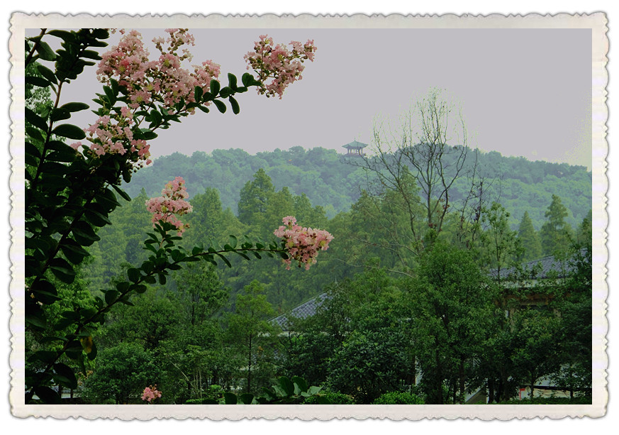 dsc02843_.jpg