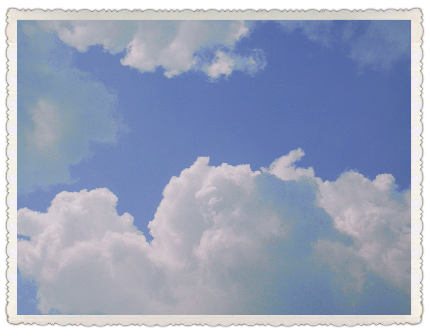 dsc02855_.jpg