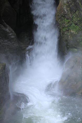 _mg_0313.jpg