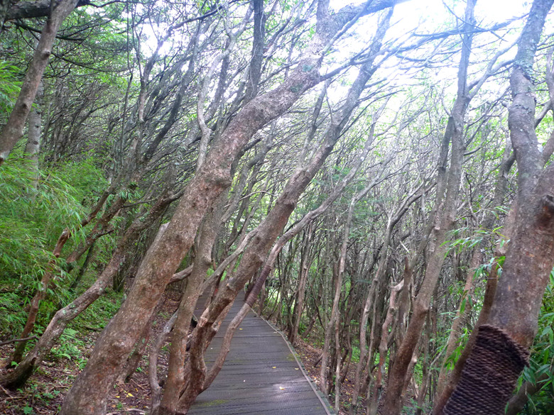p1120241_.jpg