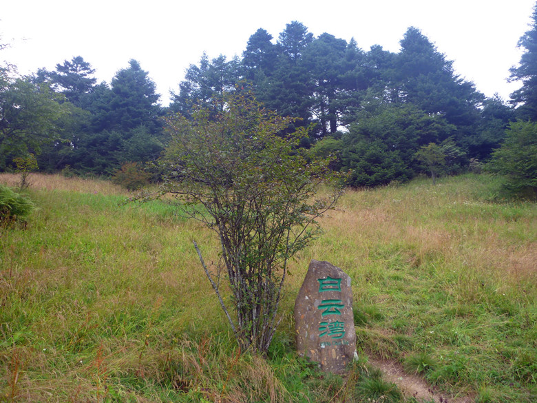 p1120256_.jpg