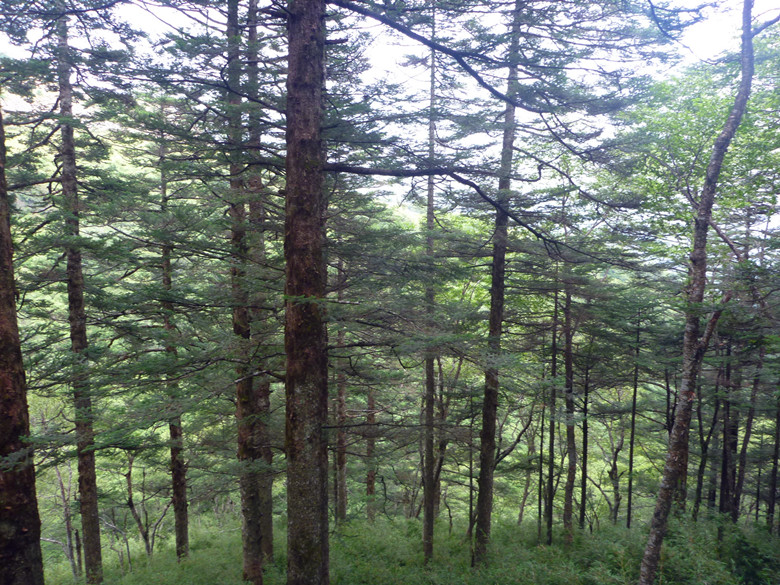 p1120258_.jpg