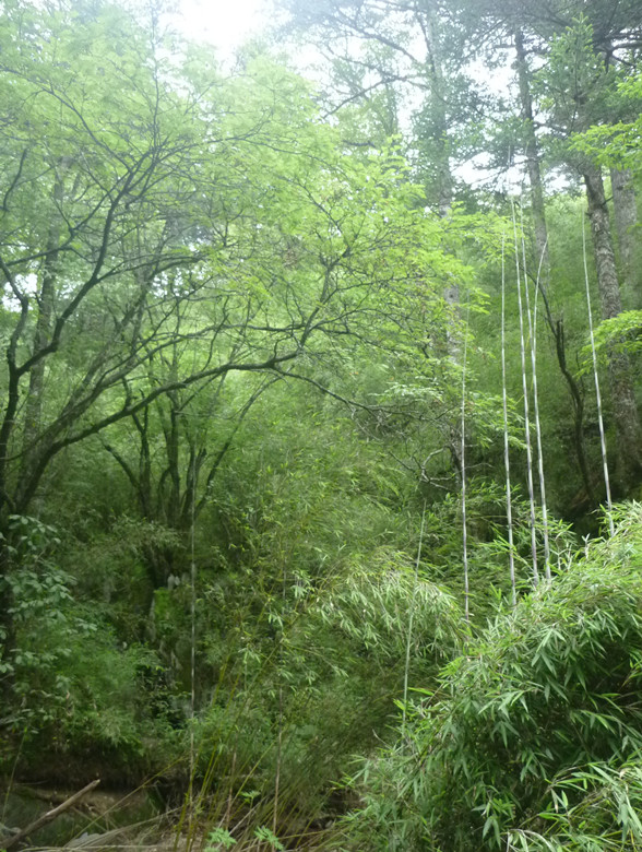 p1120267_.jpg