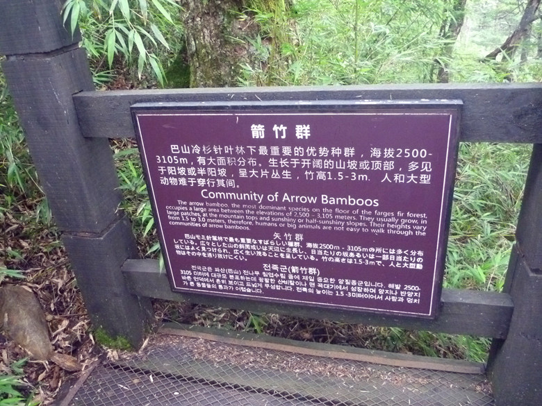 p1120260_.jpg