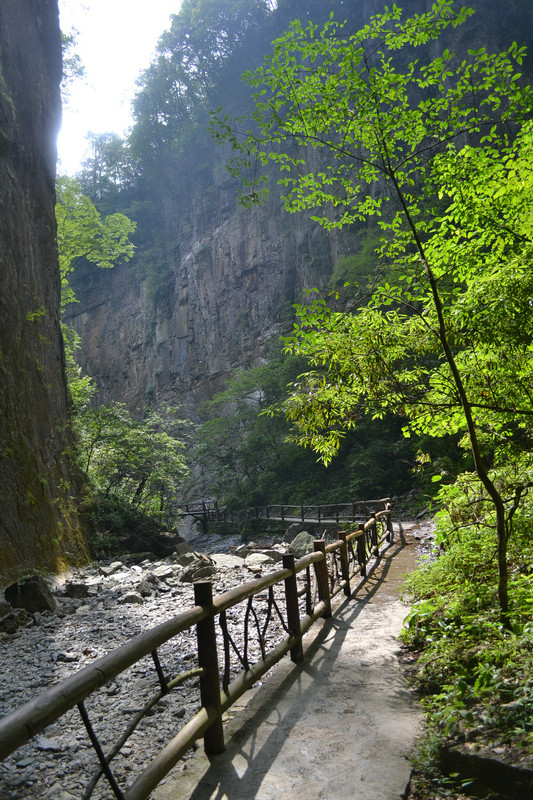 dsc_0256.jpg
