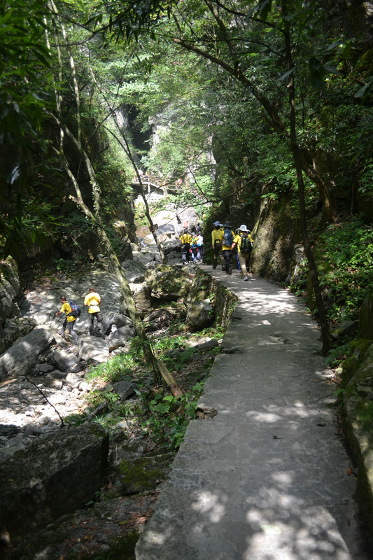 dsc_0258.jpg