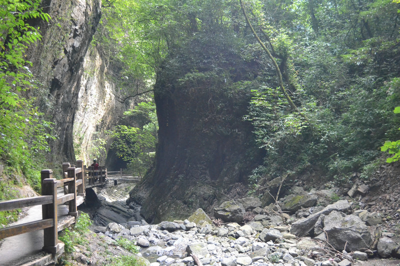 dsc_0245.jpg
