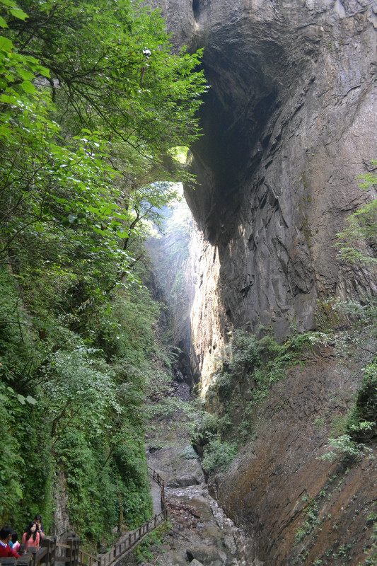 dsc_0252.jpg