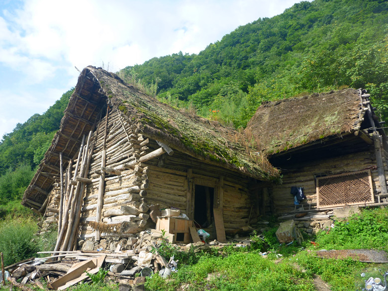 p1120280_.jpg