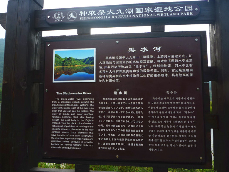 p1120329_.jpg