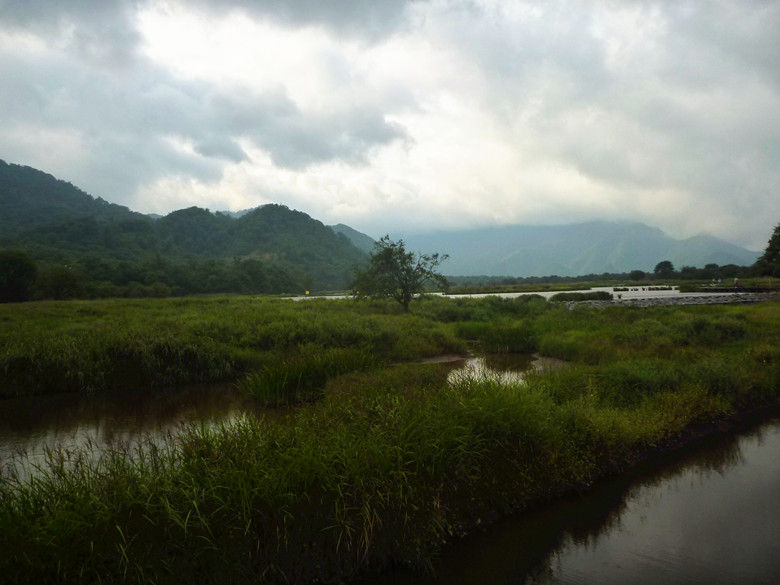 p1120337_.jpg