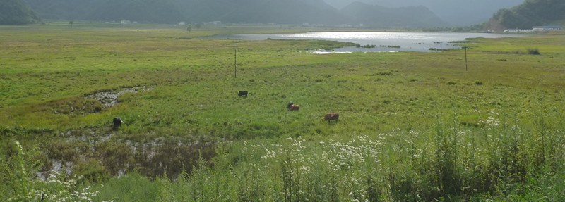 p1120283_.jpg