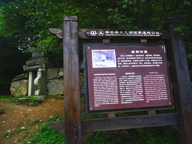 p1120360_.jpg