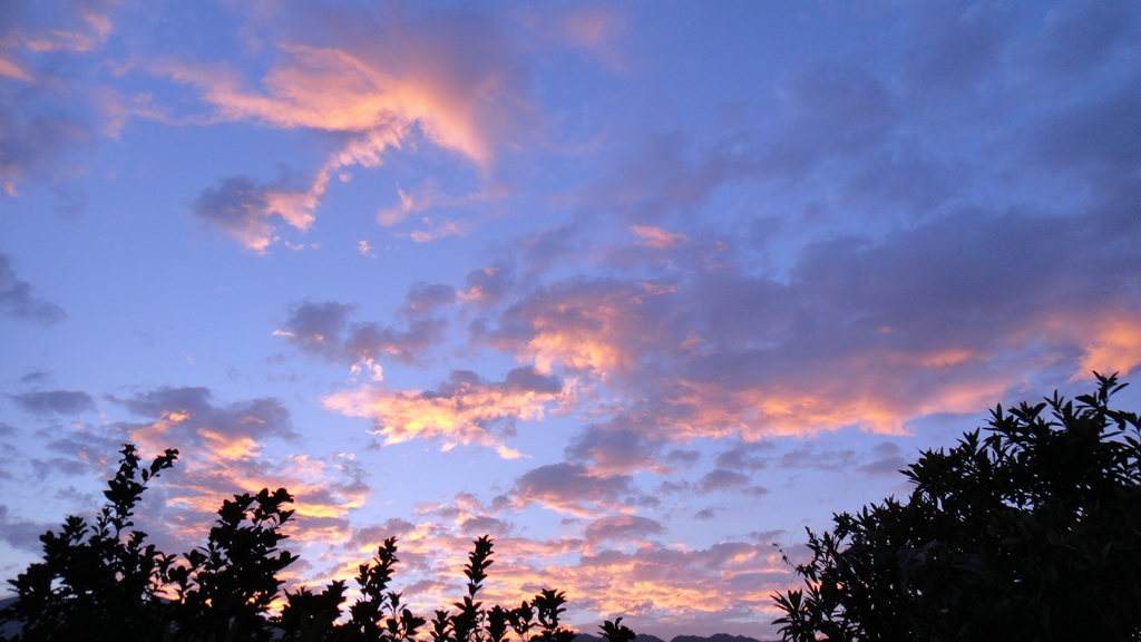 dsc01309.jpg