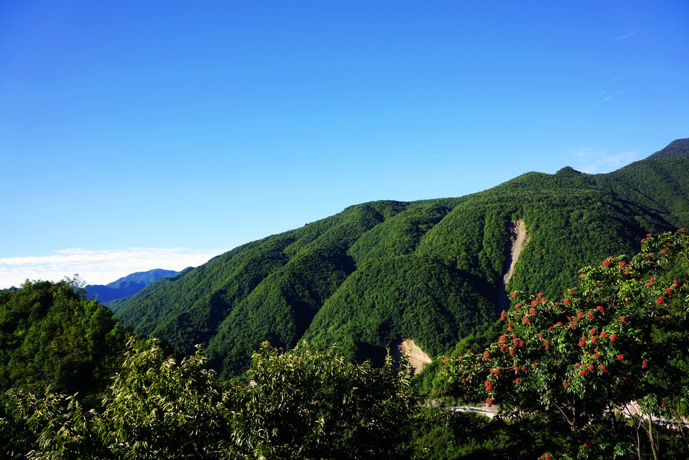 2012七夕，相约神龙架608.jpg