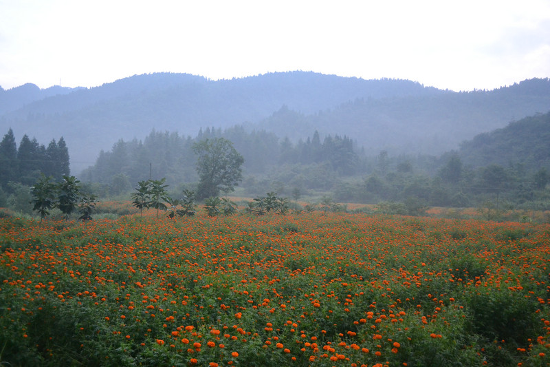 dsc_0442.jpg