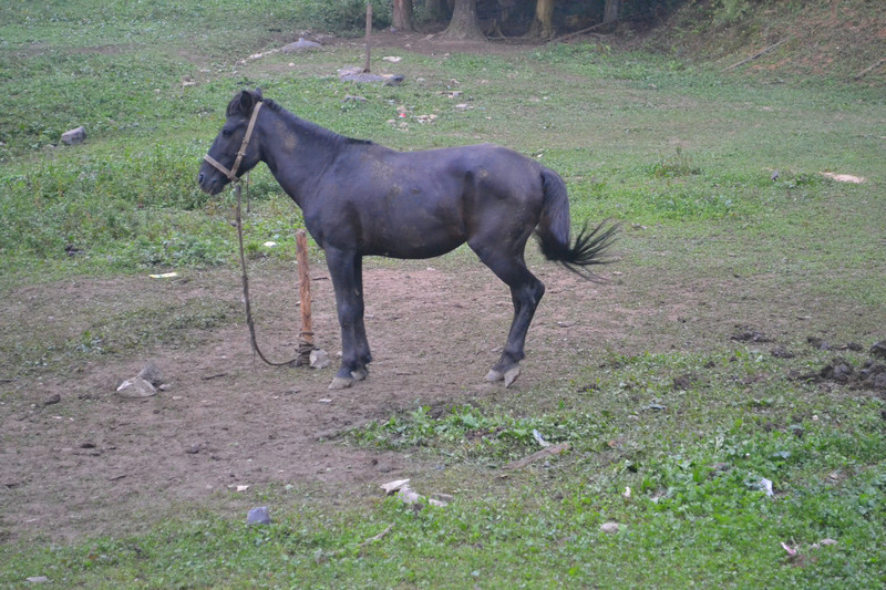 dsc_0443.jpg