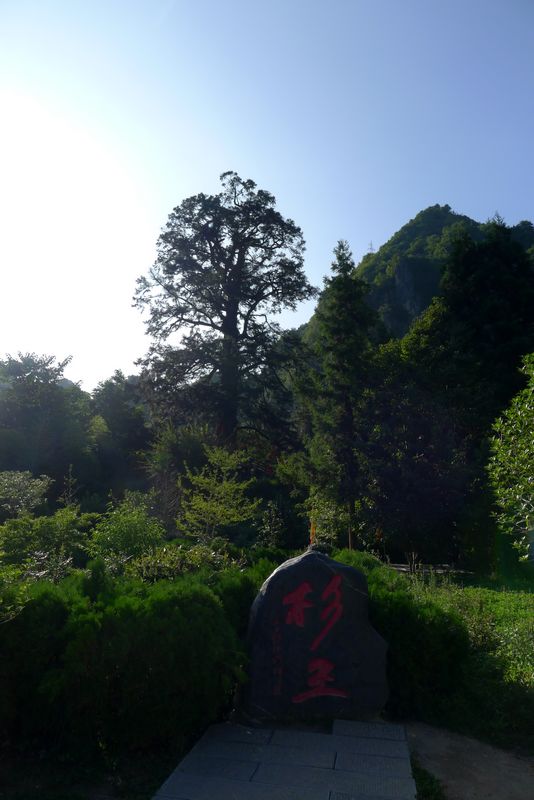 羰14.jpg