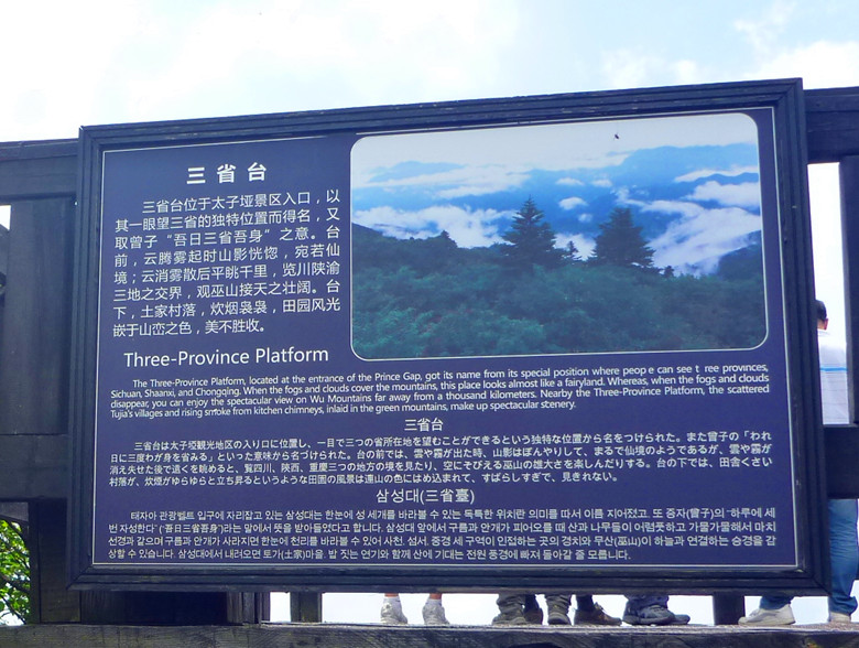 p1120233_.jpg