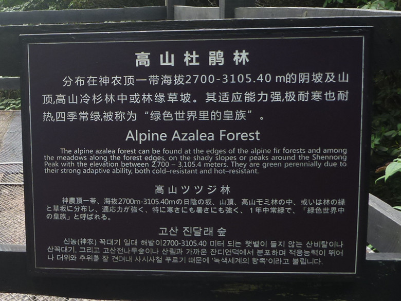 p1120243_.jpg