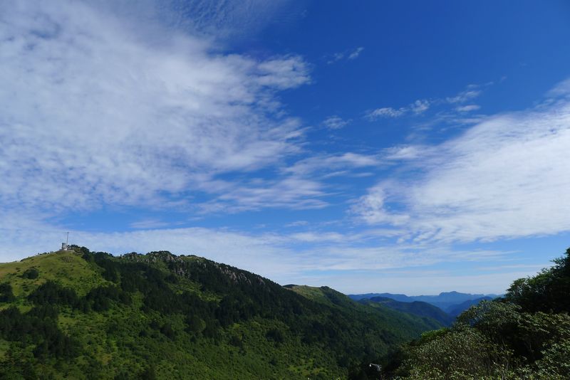 羰17.jpg