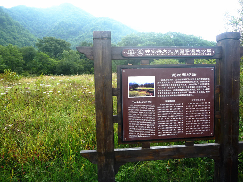 p1120399_.jpg