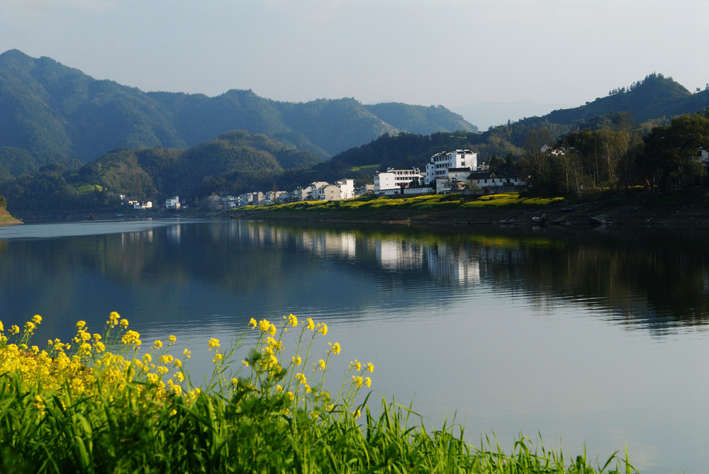 dsc_2633342.jpg