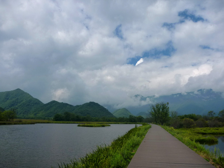 p1120410_.jpg