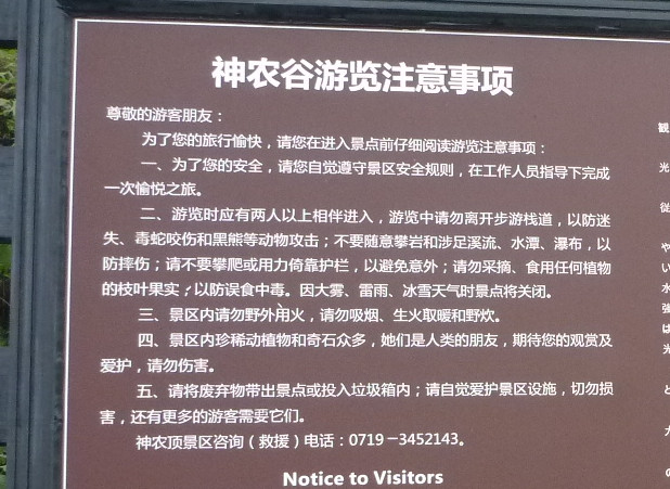 p1120427_.jpg