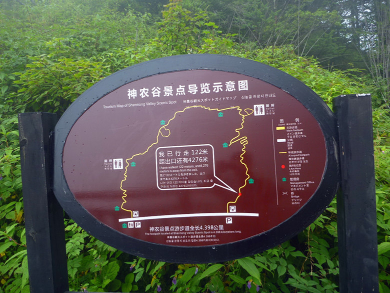 p1120437_.jpg