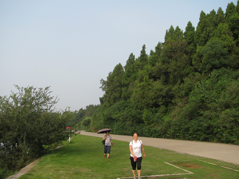 img_5387_.jpg