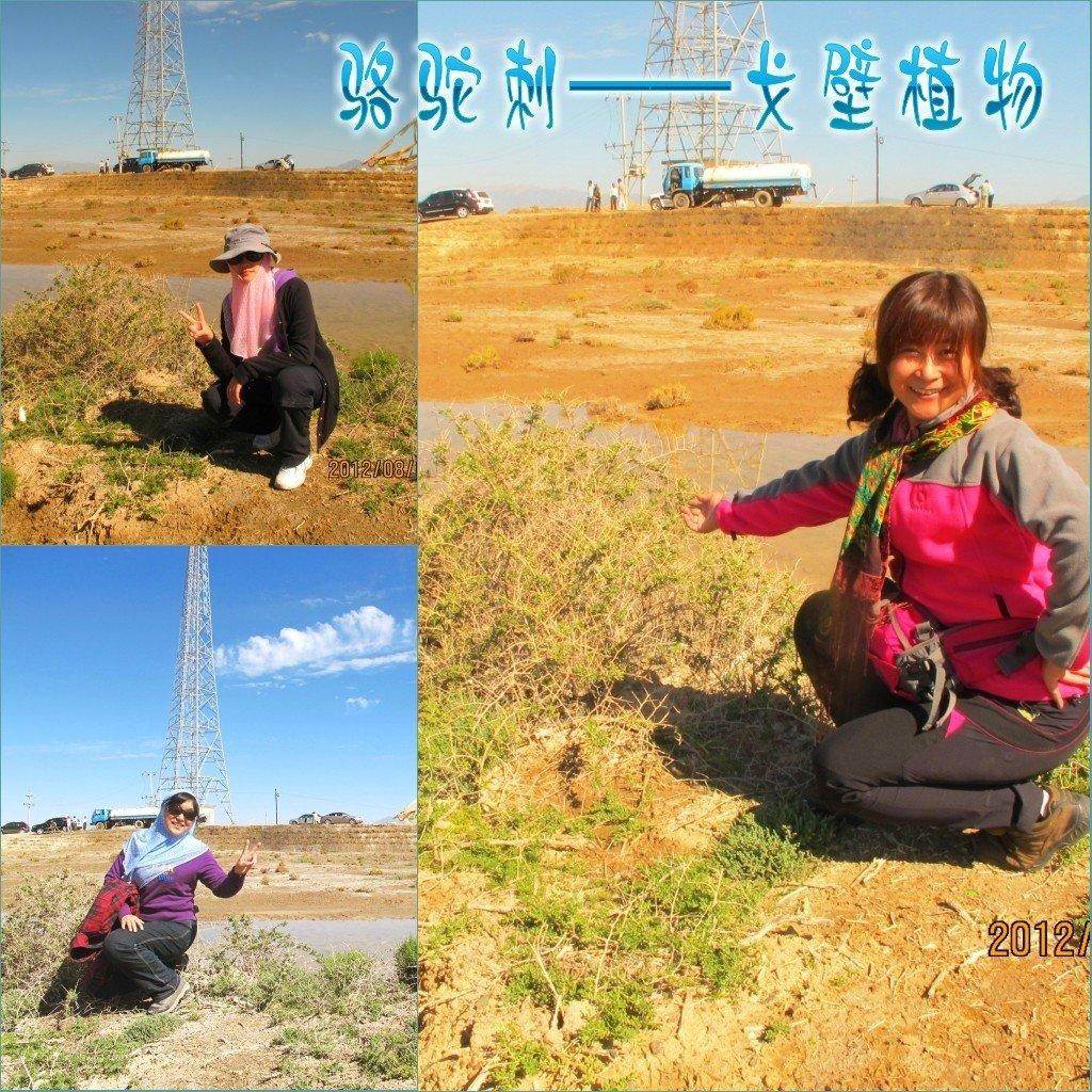 迨κ (59).jpg